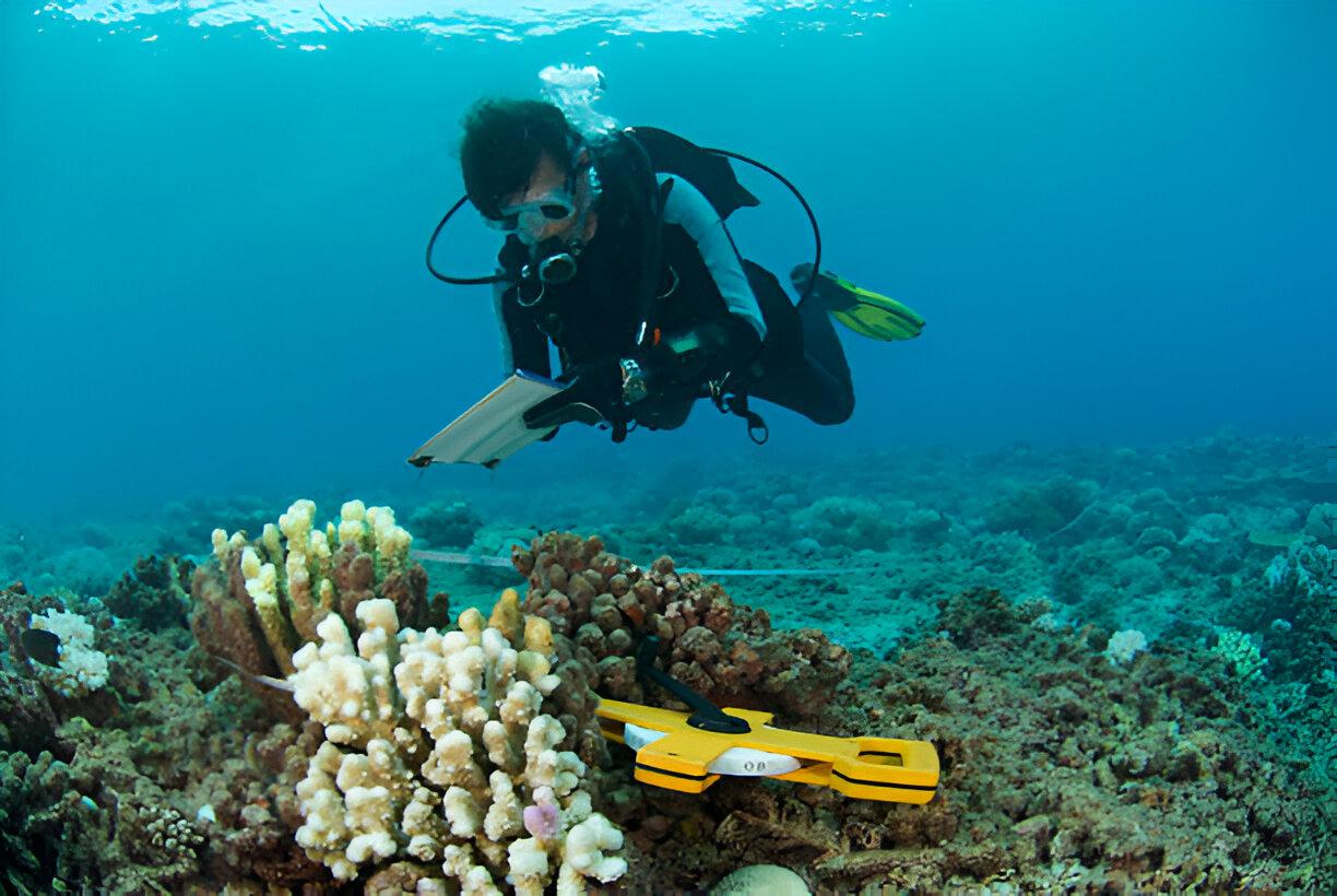Underwater Domain Awareness Journal Cover