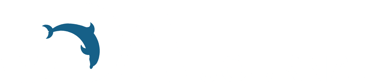 UDA Journal - International Journal of Underwater Domain Awareness white logo